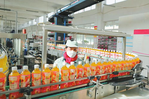 多產(chǎn)業(yè)協(xié)同發(fā)展 鋁產(chǎn)業(yè)、綠色家居與食品飲料等重點(diǎn)領(lǐng)域的建設(shè)與營(yíng)商環(huán)境優(yōu)化